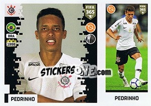 Sticker Pedrinho - FIFA 365: 2018-2019. Grey backs - Panini