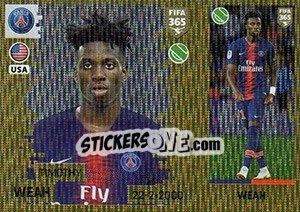 Sticker Timothy Weah - FIFA 365: 2018-2019. Blue backs n. 442 - Panini