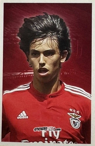 Cromo João Félix - Sl Benfica 2018-2019 n. 32 - Record