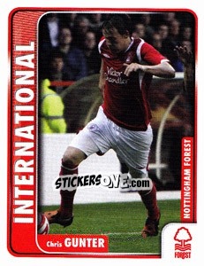 Sticker Chris Gunter - Coca-Cola Championship 2009-2010 n. 195 - Panini