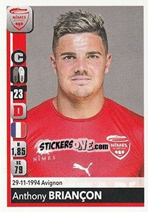 Sticker Anthony Briançon - FOOT 2018-2019 n. 329 - Panini