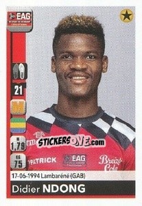 Cromo Didier Ndong - FOOT 2018-2019 - Panini