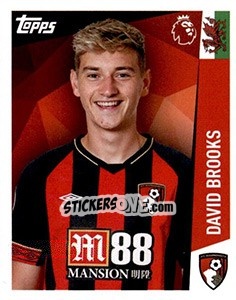 Sticker David Brooks - Premier League Inglese 2018-2019 n. 14 - Topps