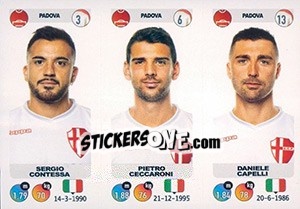 Sticker Sergio Contessa / Pietro Ceccaroni / Daniele Capelli - Calciatori 2018-2019 - Panini