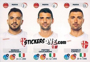 Cromo Sergio Contessa / Pietro Ceccaroni / Daniele Capelli - Calciatori 2018-2019 - Panini