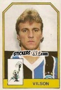 Sticker Vilson - Campeonato Brasileiro 1991 n. 48 - Abril