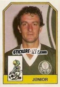 Sticker Júnior - Campeonato Brasileiro 1991 n. 150 - Abril