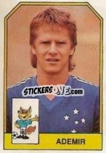 Sticker Ademir - Campeonato Brasileiro 1991 n. 171 - Abril