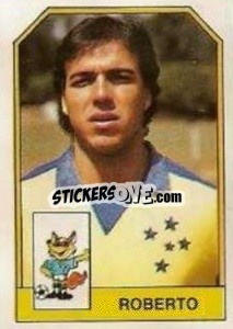 Sticker Roberto - Campeonato Brasileiro 1991 n. 176 - Abril
