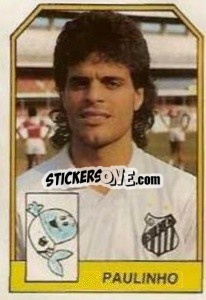 Sticker Paulinho - Campeonato Brasileiro 1991 n. 214 - Abril