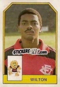 Sticker Wilton - Campeonato Brasileiro 1991 n. 378 - Abril