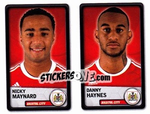 Sticker Nicky Maynard / Danny Haynes - NPower Championship 2010-2011 n. 29 - Panini