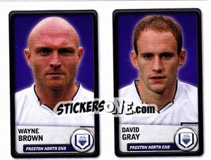 Cromo Wayne Brown / david Gray - NPower Championship 2010-2011 - Panini