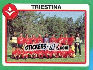 Figurina Squadra Triestina - Calcio 1990 - Euroflash