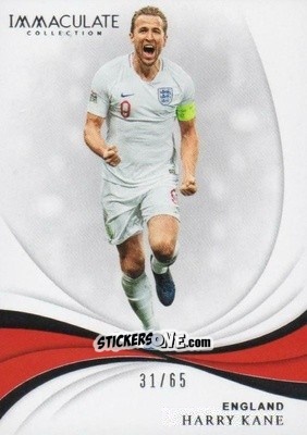 Sticker Harry Kane - Immaculate Soccer 2018-2019 n. 71 - Panini