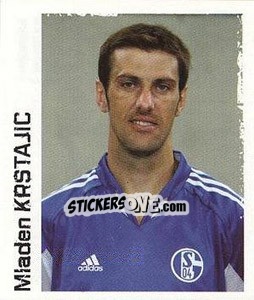 Figurina Mladen Krstajic - German Football Bundesliga 2004-2005 - Panini