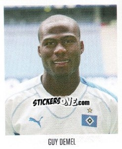 Cromo Guy Demel