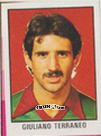 Figurina Giuliano Terraneo - Calcio Flash 1981 n. 211 - Edizioni Flash