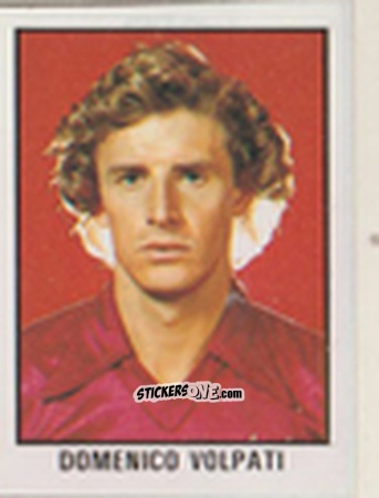 Sticker Domenico Volpati - Calcio Flash 1981 n. 213 - Edizioni Flash