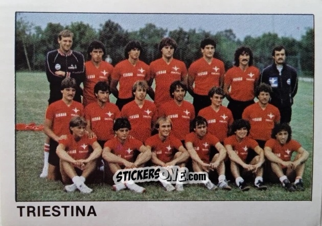 Figurina Squadra Triestina - Calcio Flash 1985 n. 435 - Edizioni Flash