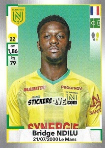 Sticker Bridge Ndilu - FOOT 2019-2020 n. 308 - Panini