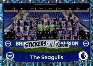 Cromo The Seagulls (Squad)