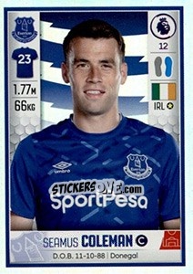 Figurina Seamus Coleman