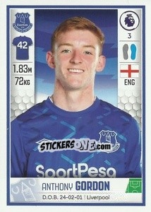 Sticker Anthony Gordon - Premier League Inglese 2019-2020 n. U18 - Panini