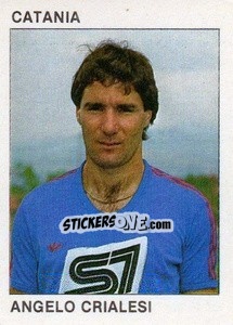 Sticker Angelo Crialesi - Calcio Flash 1984 - Edizioni Flash