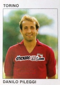 Sticker Danilo Pileggi - Calcio Flash 1984 n. 256 - Edizioni Flash