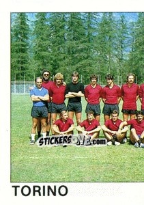 Sticker Squadra Torino (puzzle 1) - Calcio Flash 1984 n. 259 - Edizioni Flash