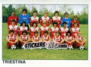 Sticker Squadra Triestina - Calcio Flash 1984 n. 431 - Edizioni Flash