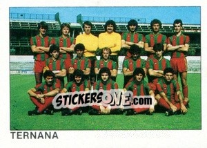 Figurina Squadra Ternana - Calcio Flash 1984 - Edizioni Flash