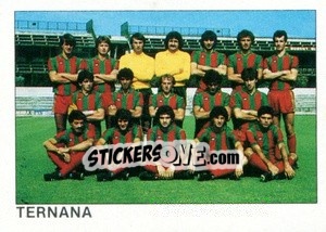 Sticker Squadra Ternana - Calcio Flash 1984 n. 479 - Edizioni Flash