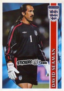 Cromo David Seaman - England 2002 n. 101 - Merlin