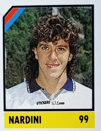 Cromo Nardini - Micro Calcio Campionato 1990-1991 n. 99 - Vallardi