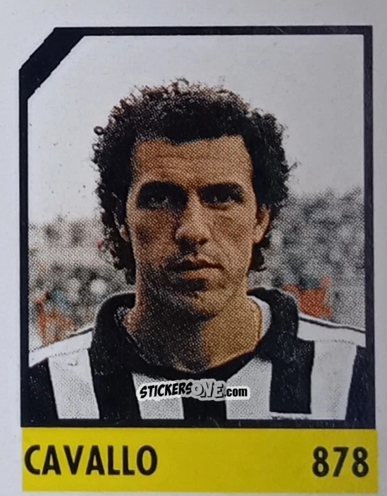 Cromo Cavallo - Micro Calcio Campionato 1990-1991 n. 878 - Vallardi