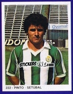 Sticker Pinto - Estrelas do Futebol 1982-1983 n. 222 - Disvenda