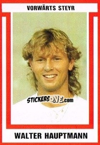 Cromo Walter Hauptmann - Österreichische Fußball-Bundesliga 1988-1989 n. 217 - Euroflash