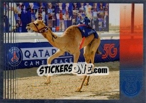 Sticker Course de dromadaires - Paris Saint-Germain 50 ans n. 90 - Panini
