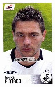 Sticker Gorka Pintado - Coca-Cola Championship 2008-2009 n. 495 - Panini