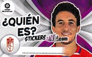 Sticker Luis Milla - Liga Spagnola 2021-2022 n. Q11 - Colecciones ESTE