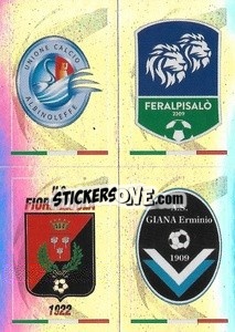 Sticker Albinoleffe / Feralpisalò/ Fiorenzuola / Giana