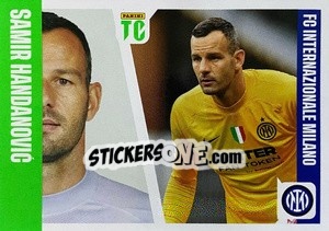 Sticker Samir Handanovic