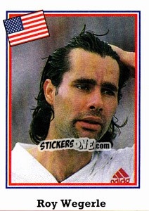 Cromo Roy Wegerle - World Cup USA 1994 n. 21 - Euroflash
