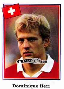 Cromo Dominique Herr - World Cup USA 1994 n. 32 - Euroflash