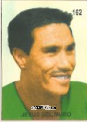 Cromo Jesús del Muro - Campeonato Mundial de Futbol 1958 Suecia n. 162 - IMPORTADORES PERUANOS