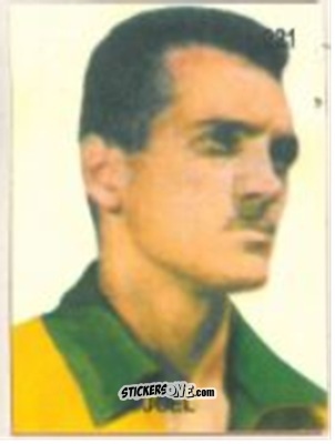 Cromo Joel - Campeonato Mundial de Futbol 1958 Suecia n. 221 - IMPORTADORES PERUANOS