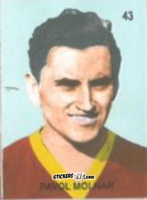 Cromo Pavol Molnar - Campeonato Mundial de Futbol 1958 Suecia n. 43 - IMPORTADORES PERUANOS