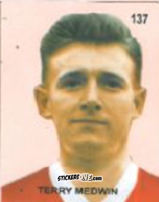Cromo Terry Medwin - Campeonato Mundial de Futbol 1958 Suecia n. 137 - IMPORTADORES PERUANOS